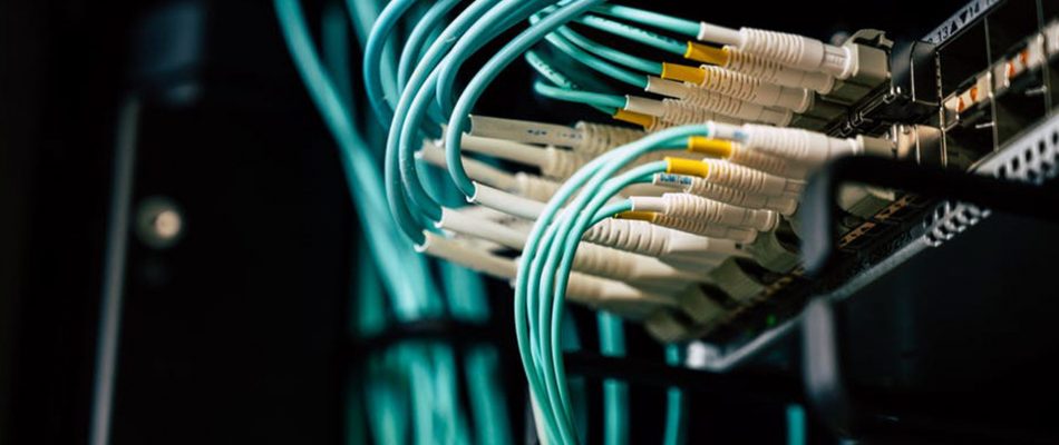 Network cables connected to a server rack in Jacksonville, Florida.