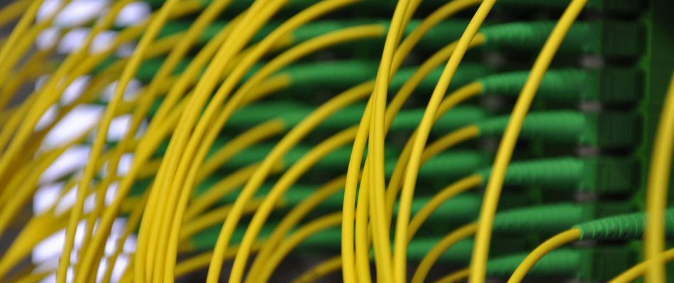 Yellow fiber patch cords connected to a network panel.