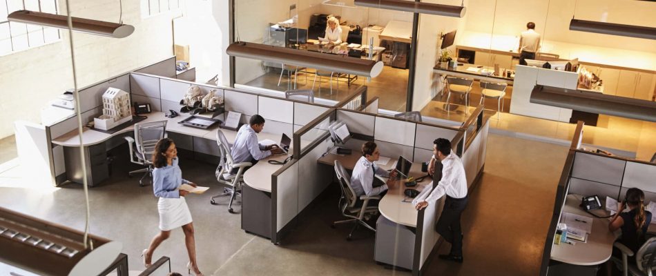 Open-plan office with employees working at desks and collaborative areas.